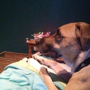 Meet your Posher, Brooklyn